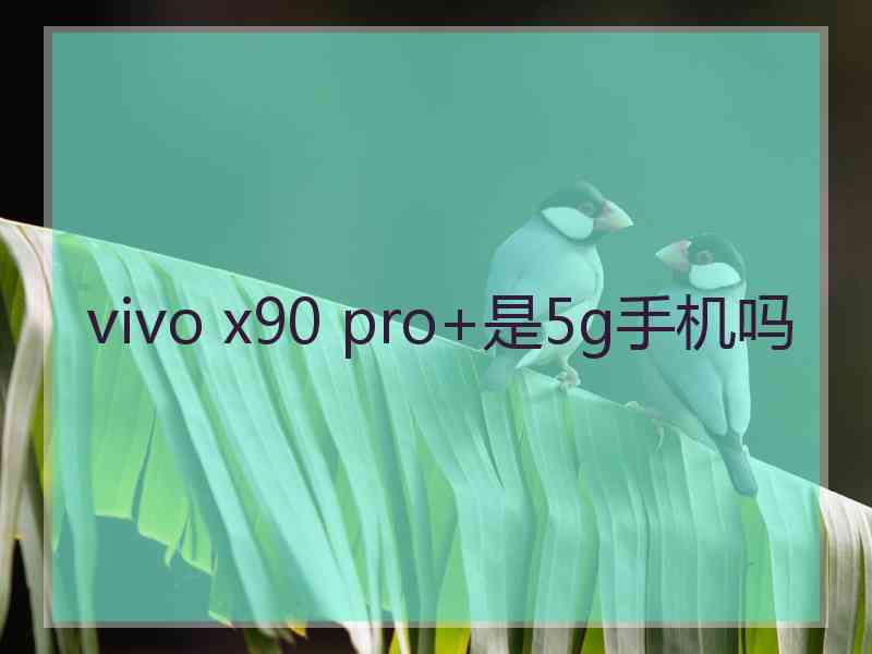 vivo x90 pro+是5g手机吗