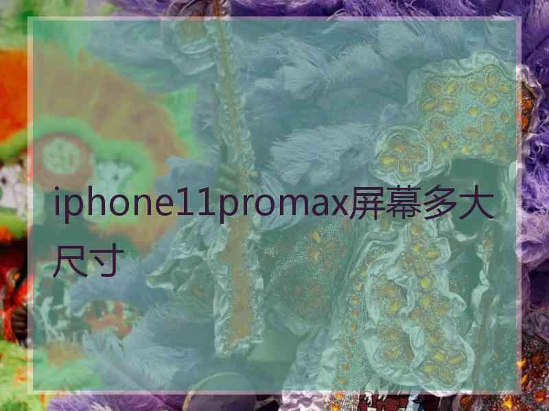 iphone11promax屏幕多大尺寸