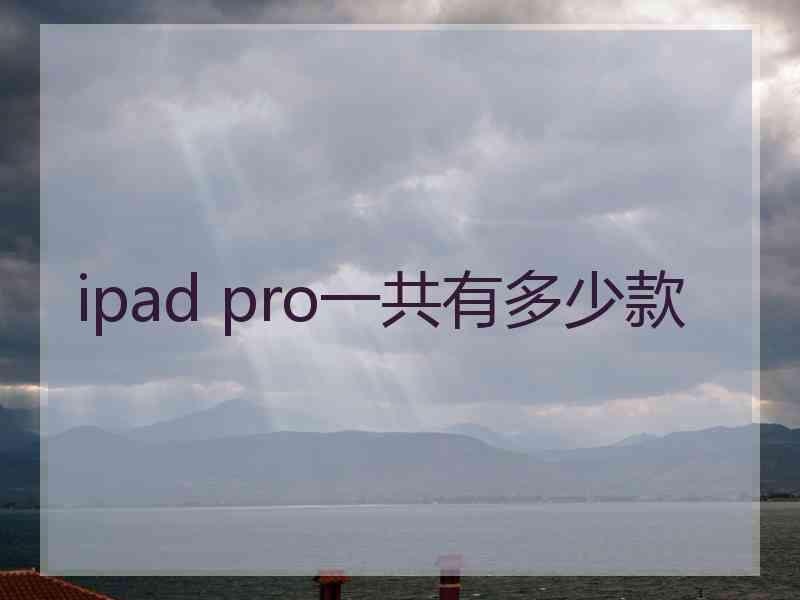 ipad pro一共有多少款