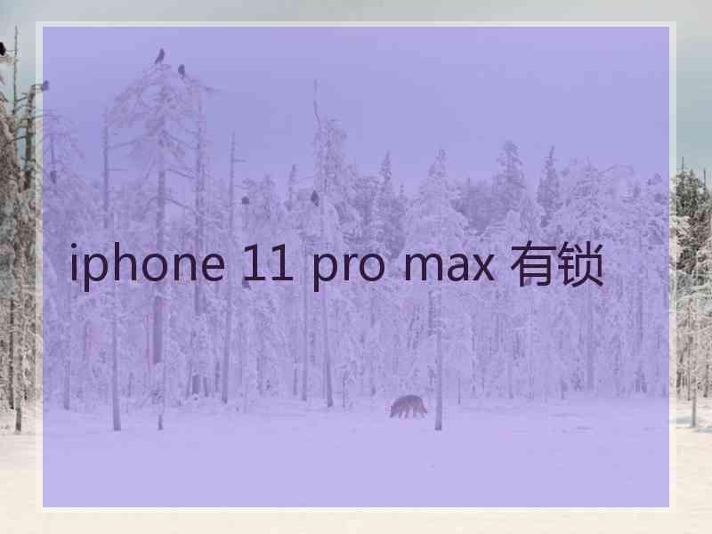 iphone 11 pro max 有锁