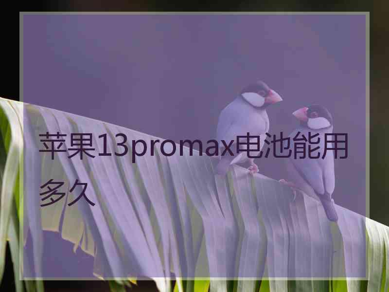 苹果13promax电池能用多久