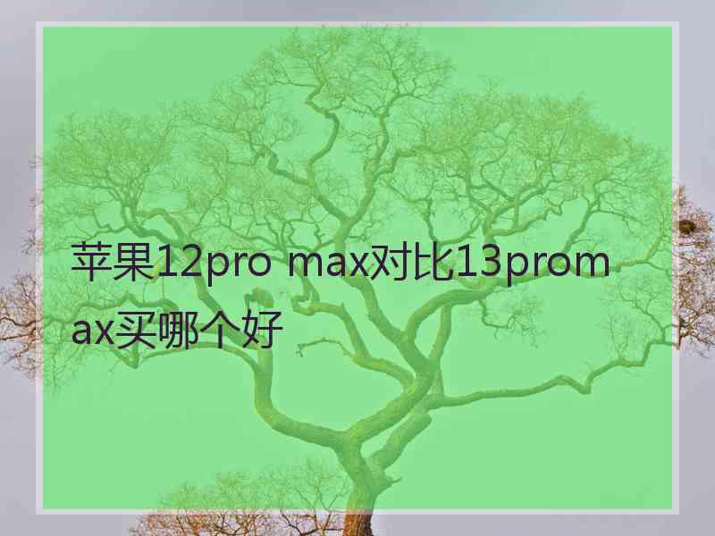 苹果12pro max对比13promax买哪个好