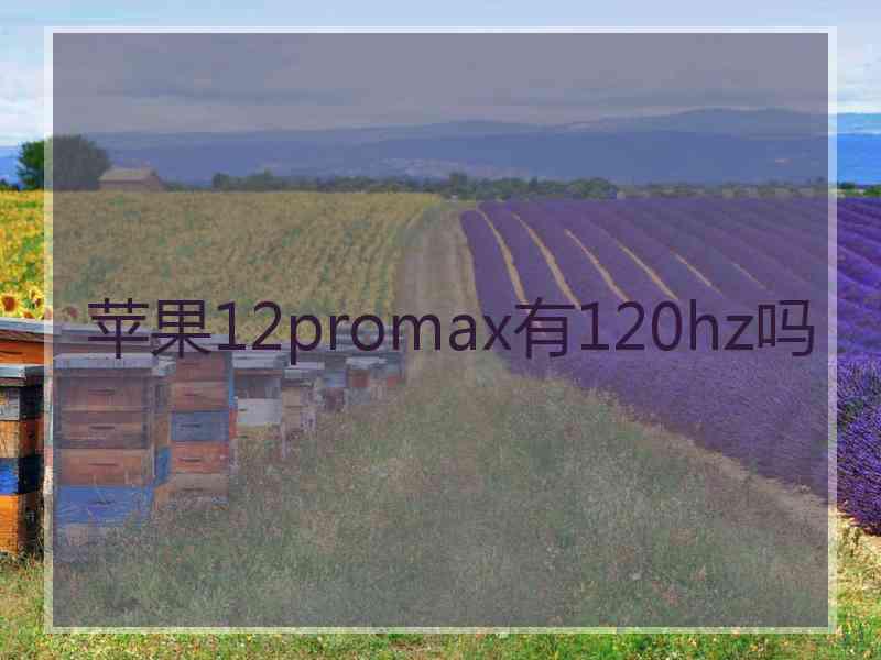 苹果12promax有120hz吗