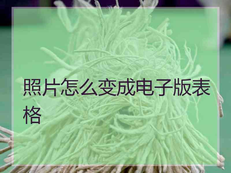 照片怎么变成电子版表格