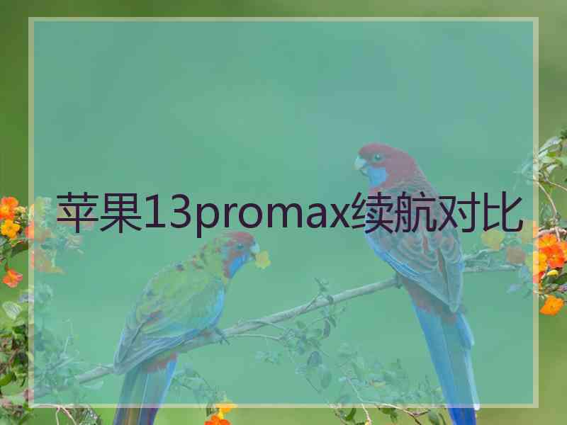 苹果13promax续航对比