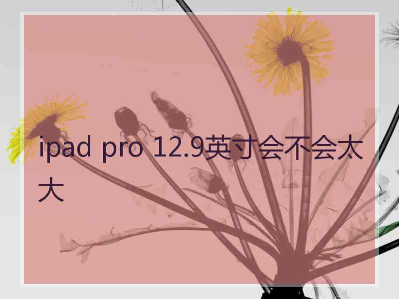 ipad pro 12.9英寸会不会太大