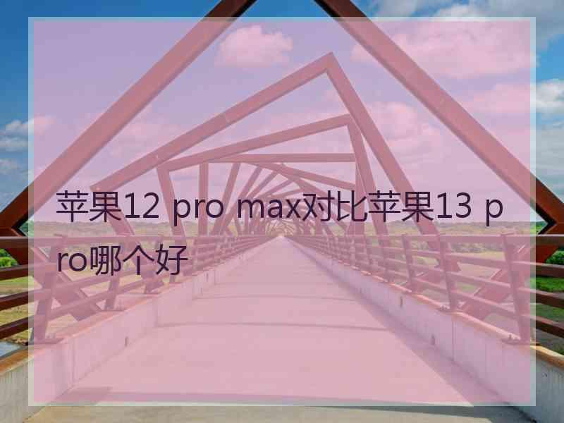 苹果12 pro max对比苹果13 pro哪个好