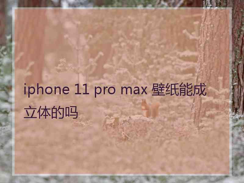 iphone 11 pro max 壁纸能成立体的吗