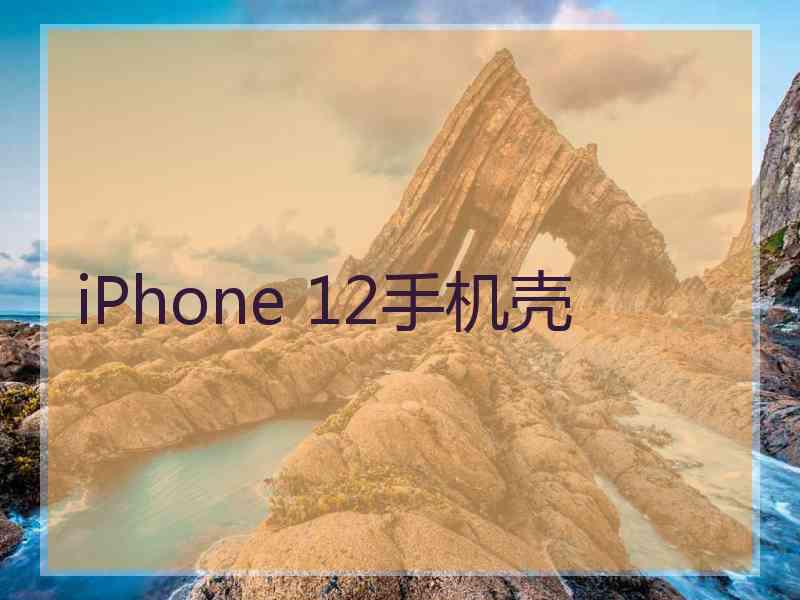 iPhone 12手机壳