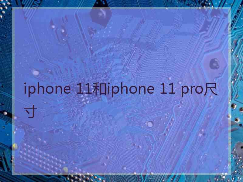 iphone 11和iphone 11 pro尺寸