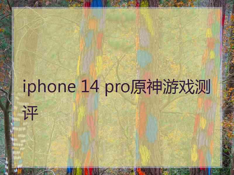 iphone 14 pro原神游戏测评