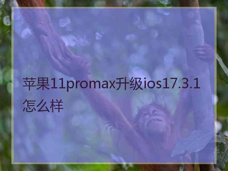 苹果11promax升级ios17.3.1怎么样