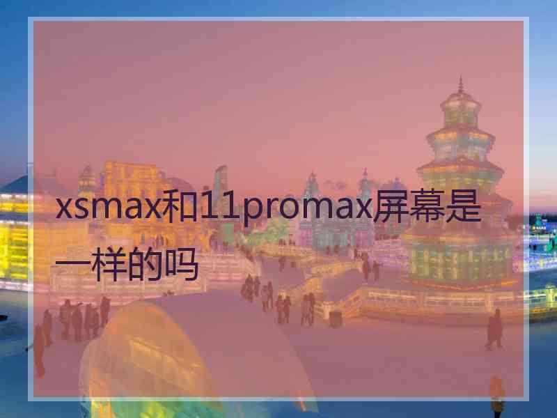 xsmax和11promax屏幕是一样的吗