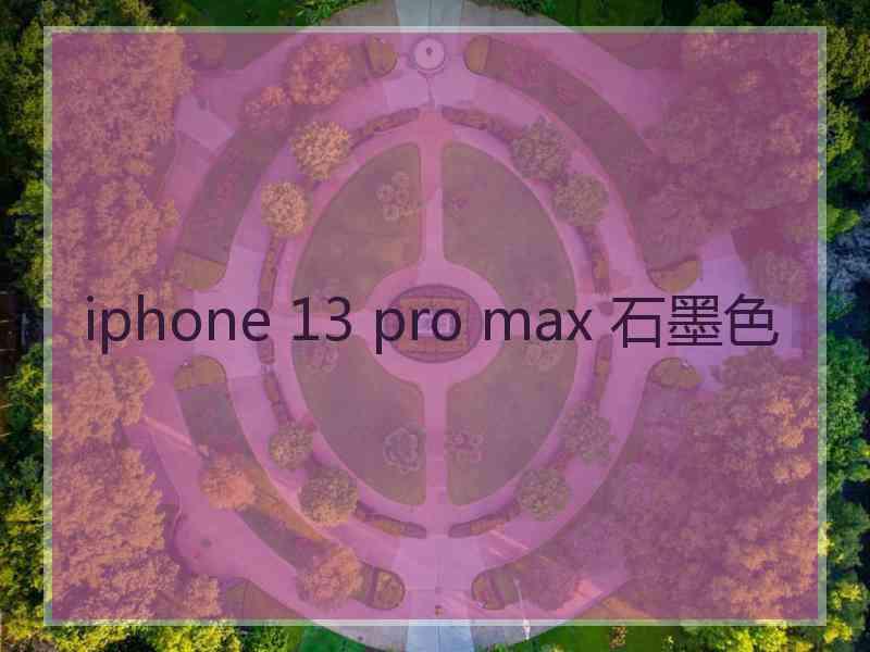 iphone 13 pro max 石墨色