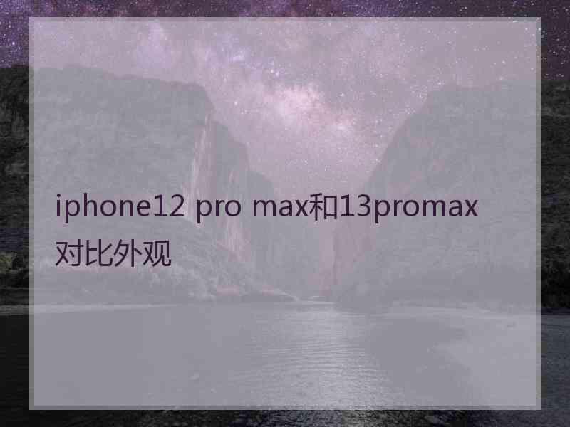 iphone12 pro max和13promax对比外观