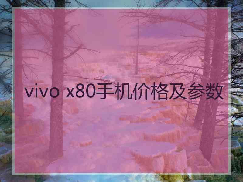 vivo x80手机价格及参数