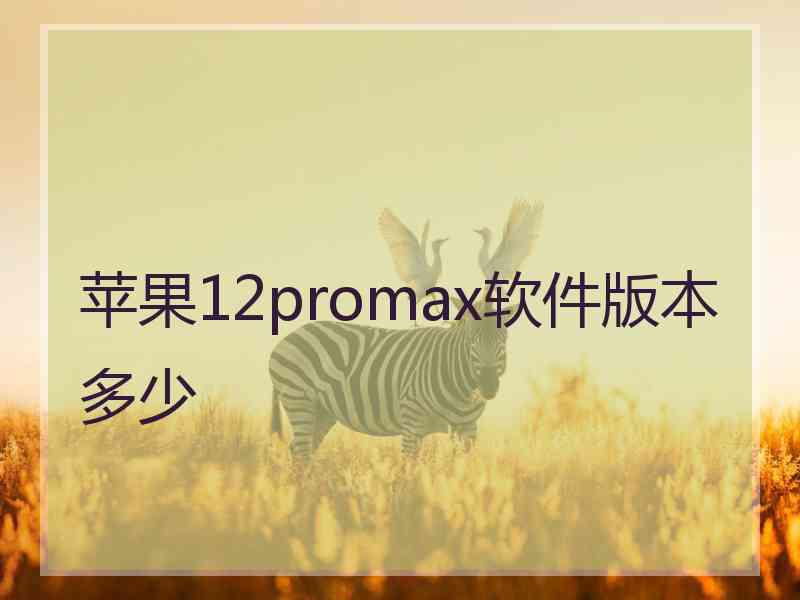 苹果12promax软件版本多少