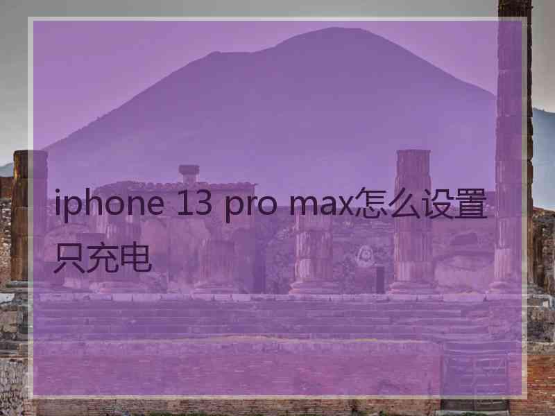 iphone 13 pro max怎么设置只充电