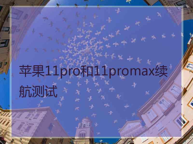 苹果11pro和11promax续航测试