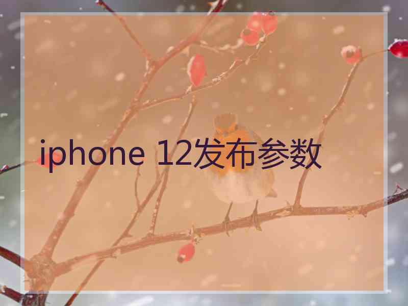 iphone 12发布参数