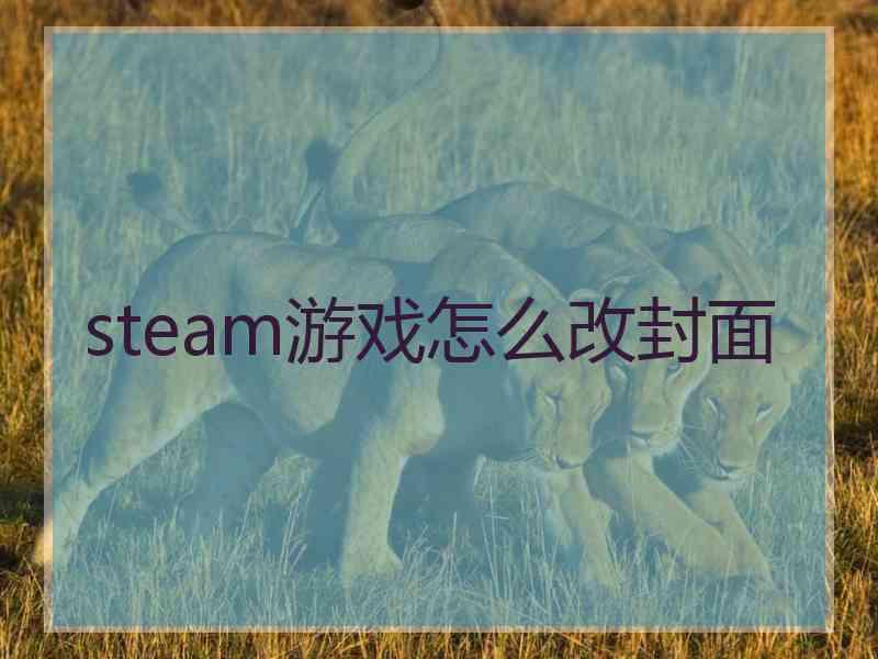 steam游戏怎么改封面