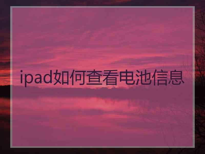 ipad如何查看电池信息