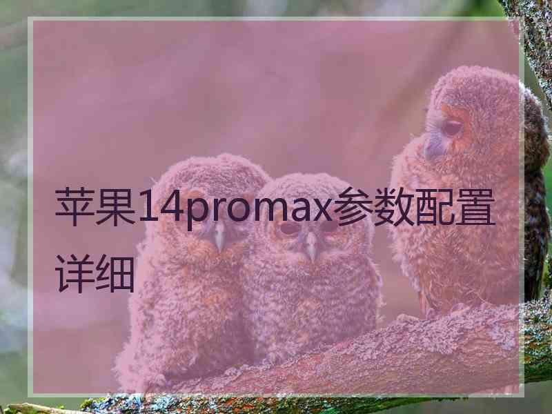 苹果14promax参数配置详细