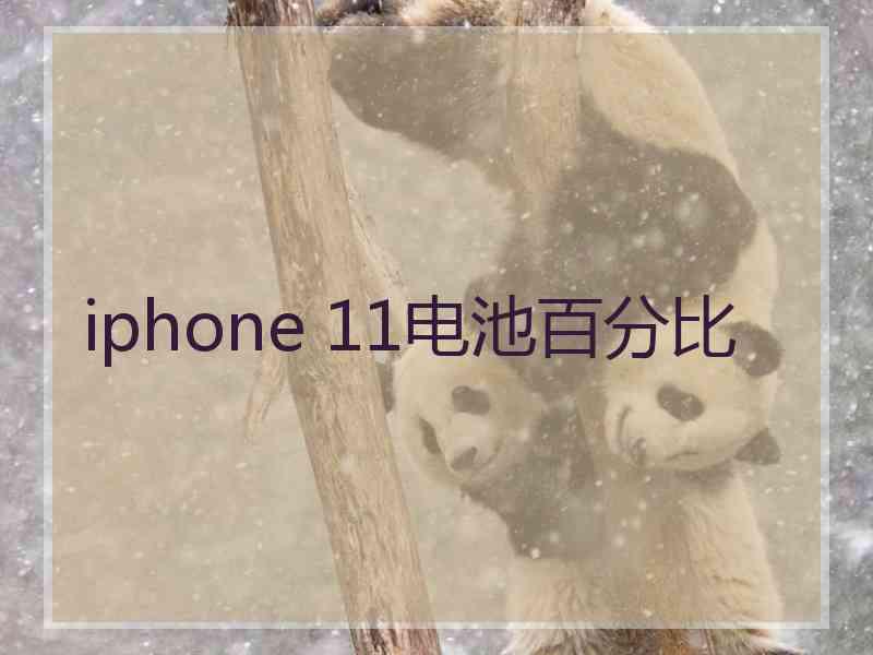 iphone 11电池百分比