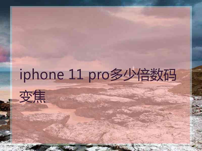 iphone 11 pro多少倍数码变焦