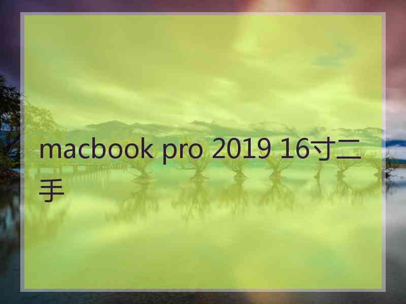 macbook pro 2019 16寸二手