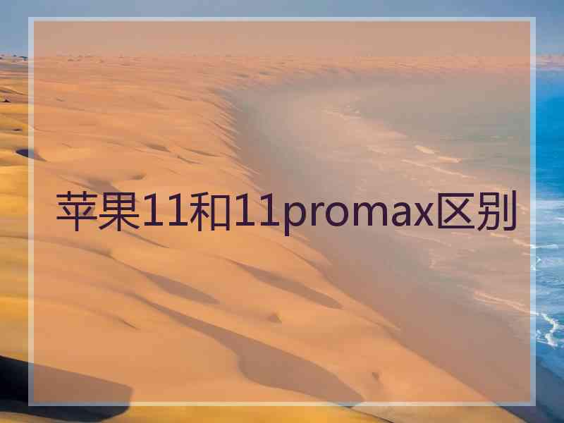 苹果11和11promax区别