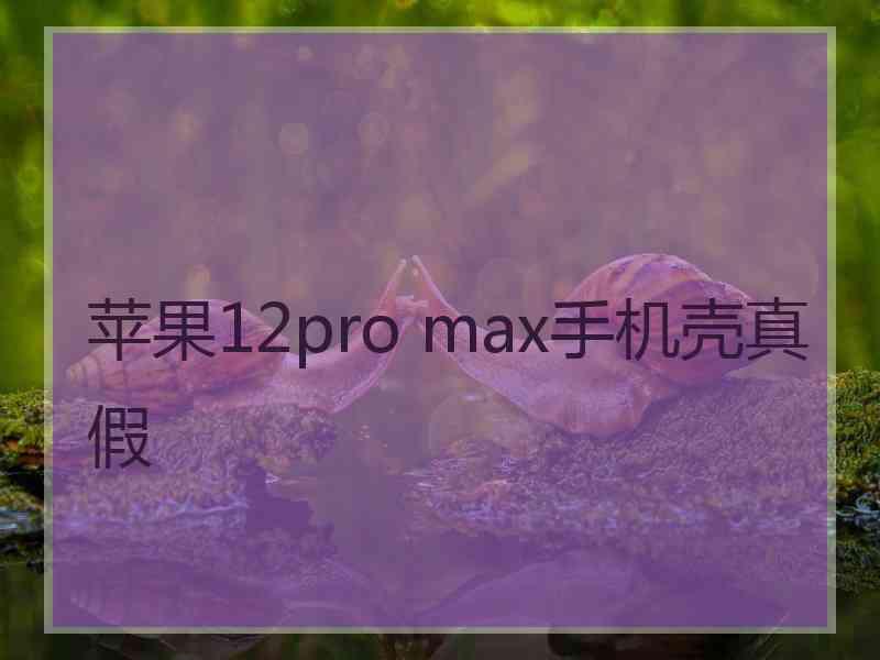 苹果12pro max手机壳真假