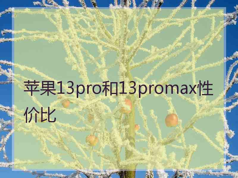 苹果13pro和13promax性价比