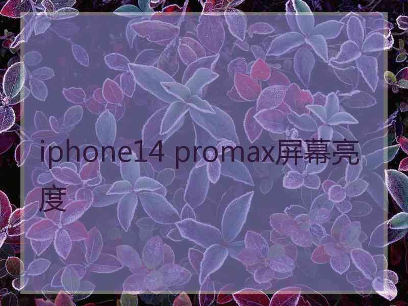 iphone14 promax屏幕亮度