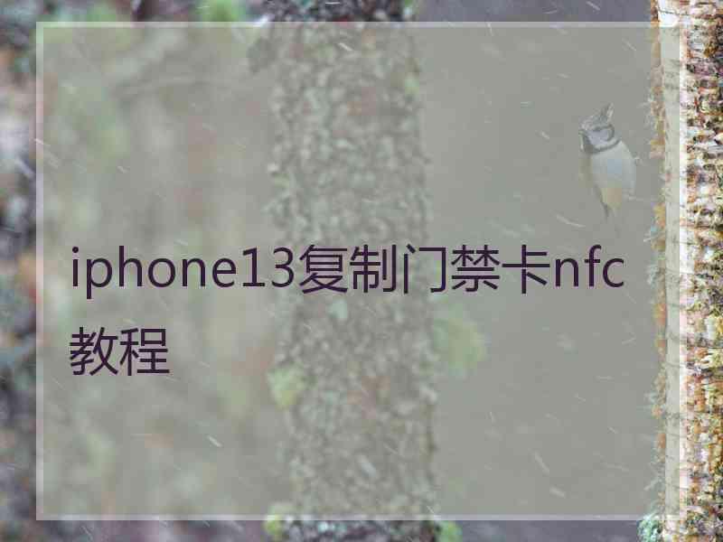 iphone13复制门禁卡nfc教程