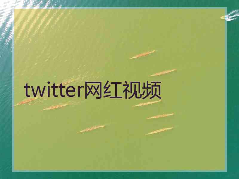 twitter网红视频