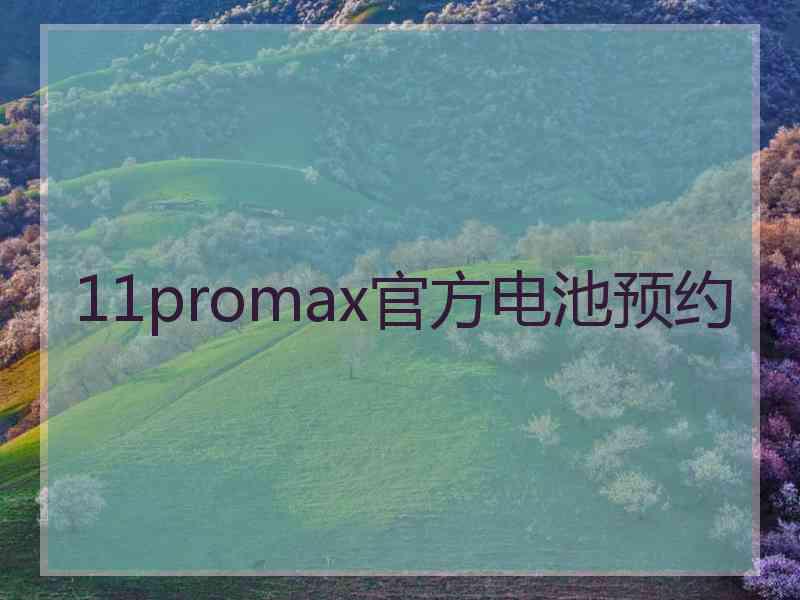 11promax官方电池预约