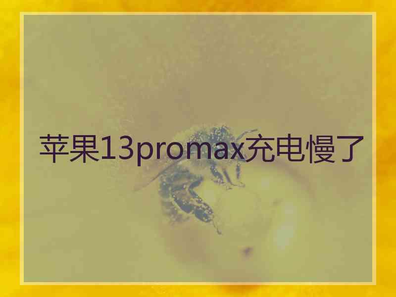 苹果13promax充电慢了