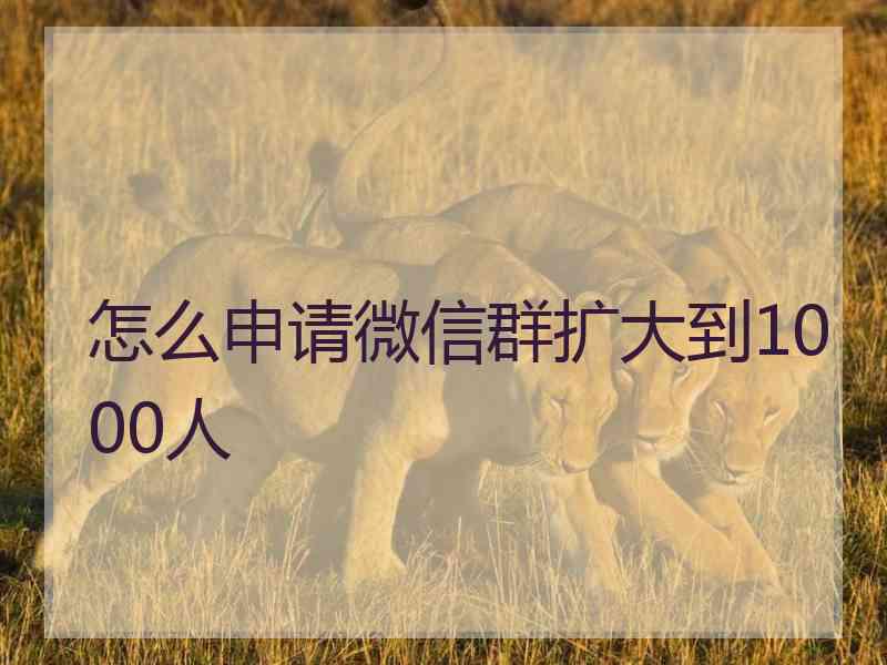 怎么申请微信群扩大到1000人