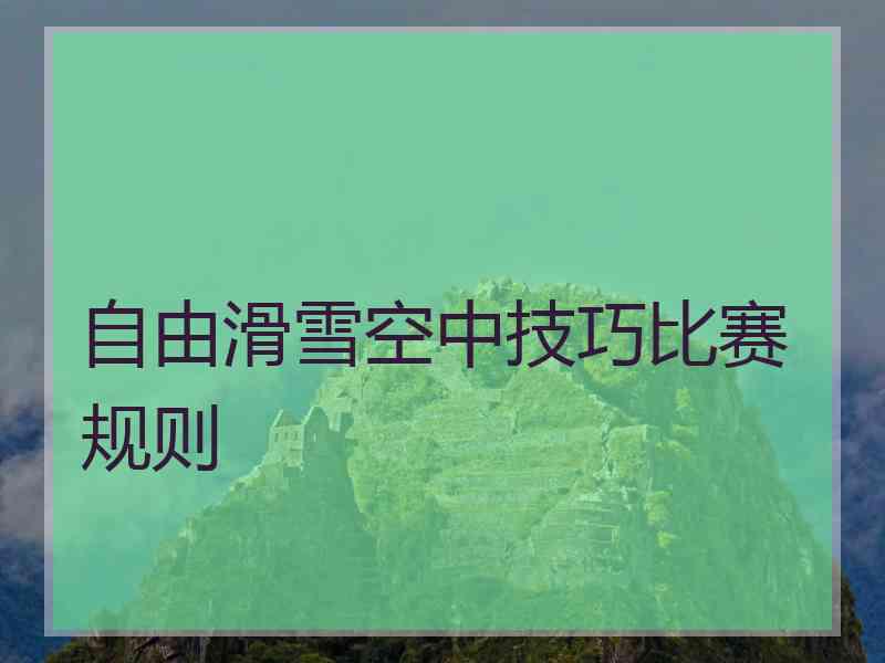 自由滑雪空中技巧比赛规则