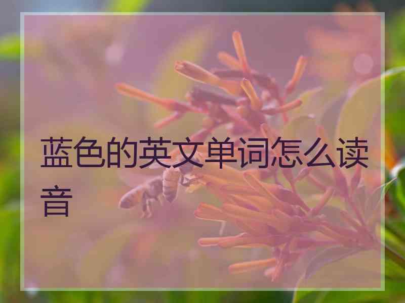 蓝色的英文单词怎么读音