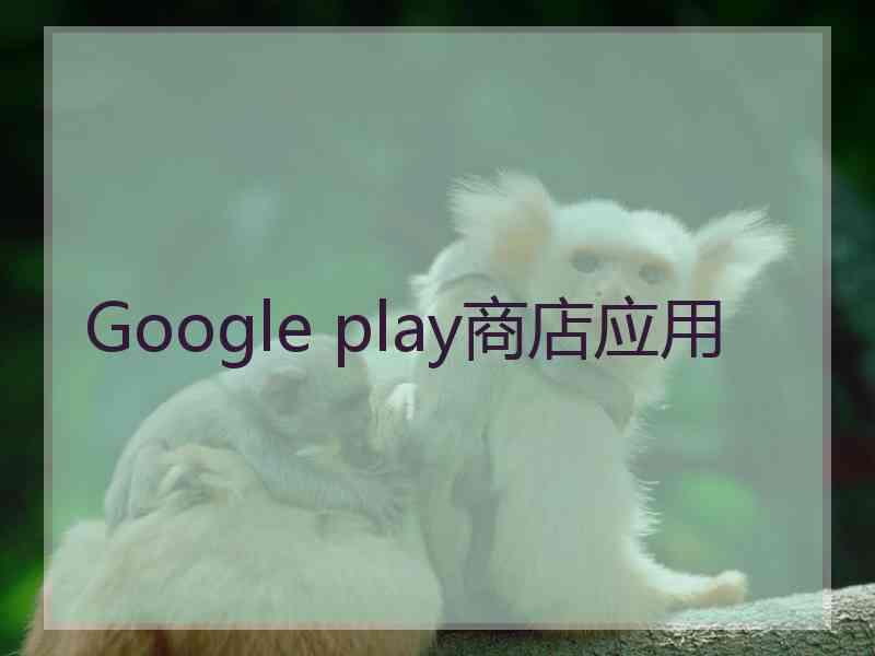 Google play商店应用