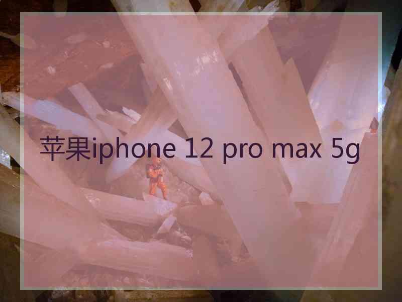 苹果iphone 12 pro max 5g