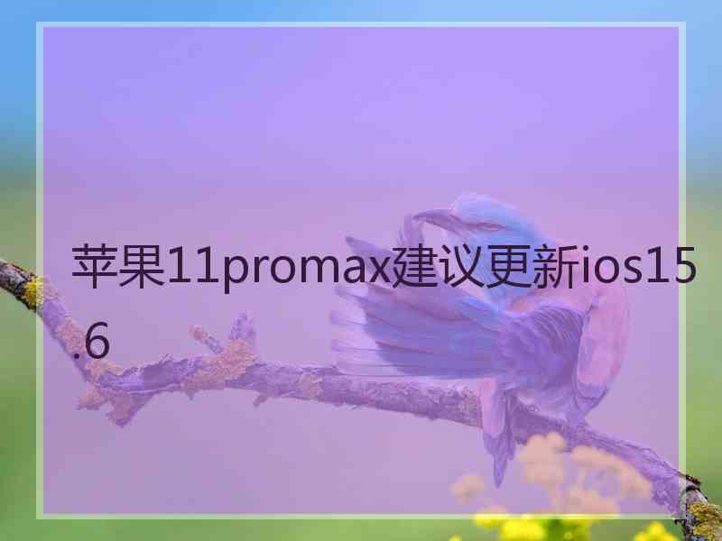 苹果11promax建议更新ios15.6