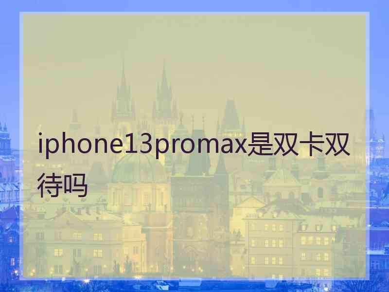 iphone13promax是双卡双待吗