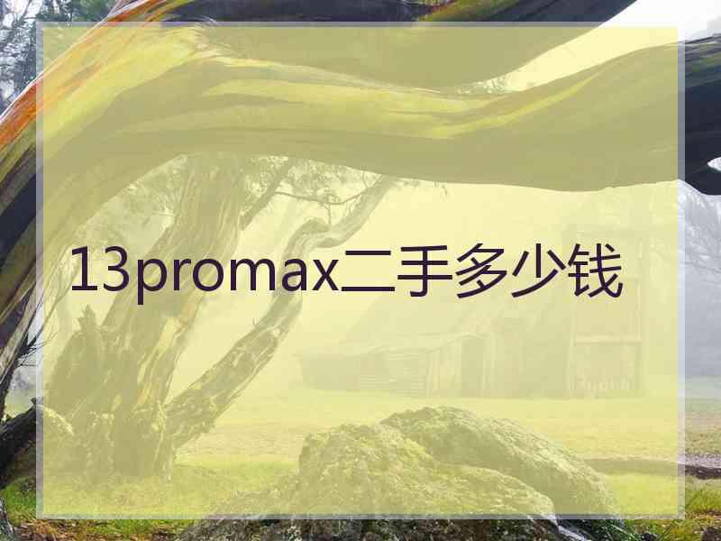 13promax二手多少钱