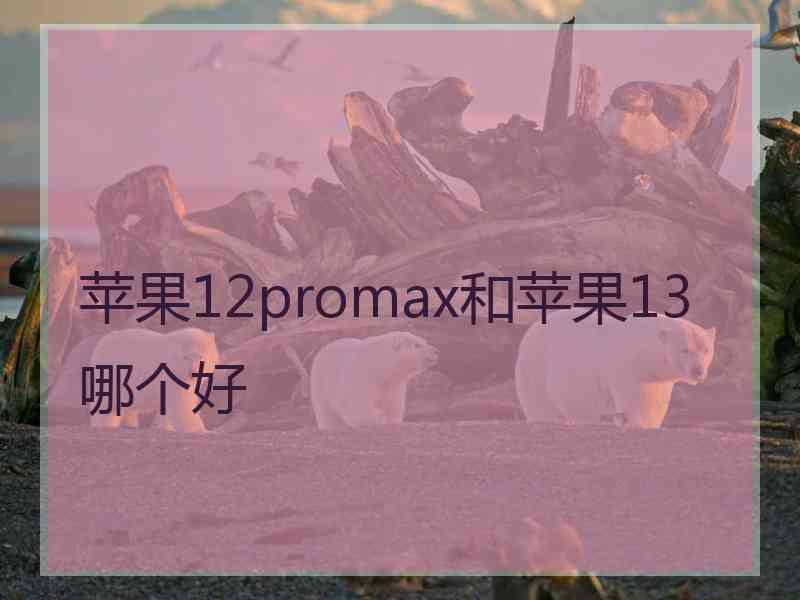 苹果12promax和苹果13哪个好