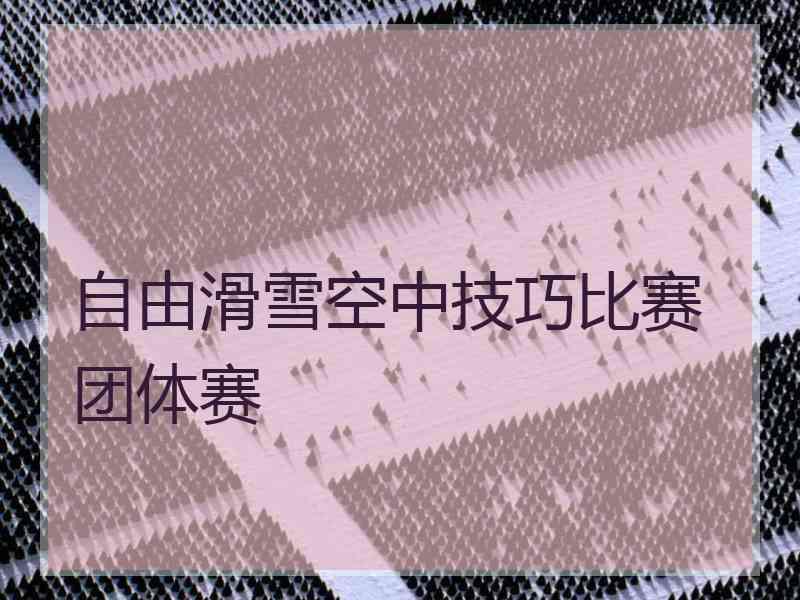 自由滑雪空中技巧比赛团体赛