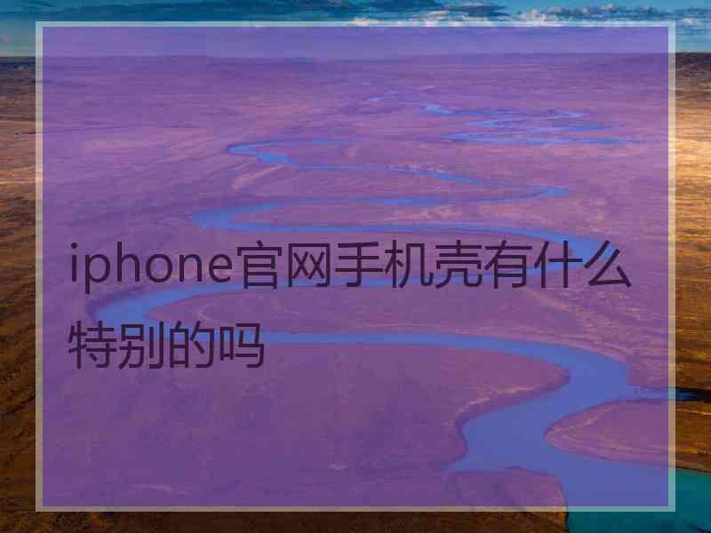 iphone官网手机壳有什么特别的吗