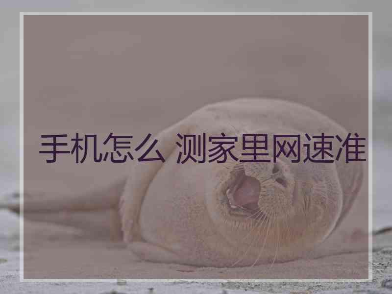 手机怎么 测家里网速准